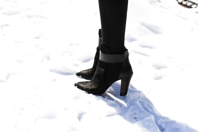 a shrimp in the snow – Betty Autier – Le Blog de Betty