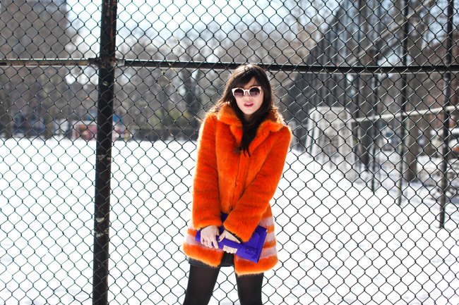 a shrimp in the snow – Betty Autier – Le Blog de Betty