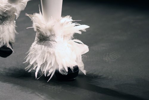 Barcelone defile chaussures plumes – Le Blog de Betty