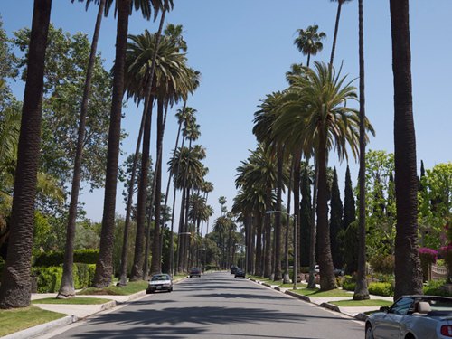 Beverly hills allee palmiers – Le Blog de Betty