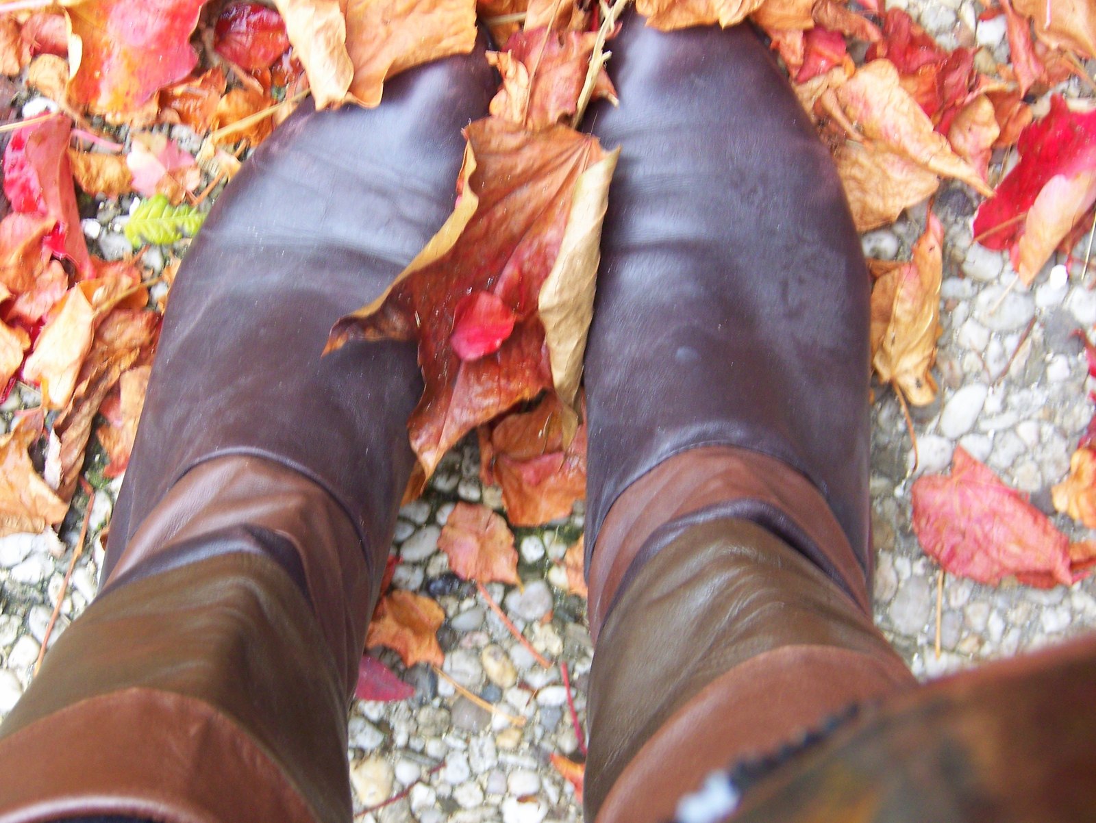 Bottes cuir feuilles automne – Le Blog de Betty
