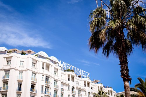 Cannes martinez palmier – Le Blog de Betty