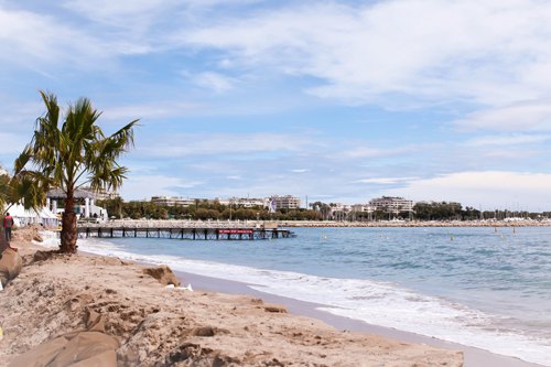 Cannes plage palmier – Le Blog de Betty