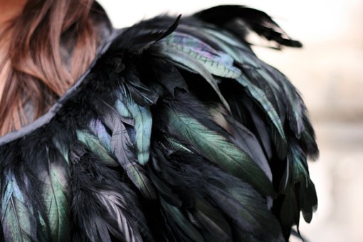 Detail plumes noires irisees – Le Blog de Betty