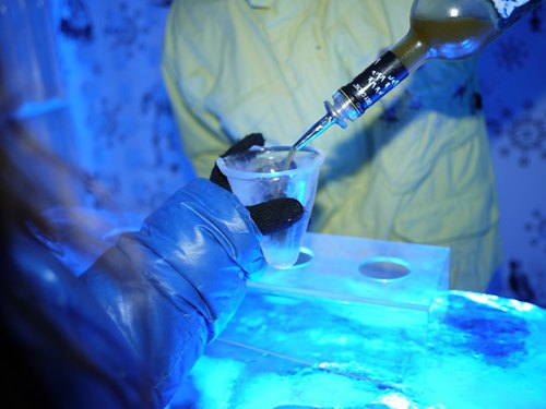 Ice bar barman glace – Le Blog de Betty