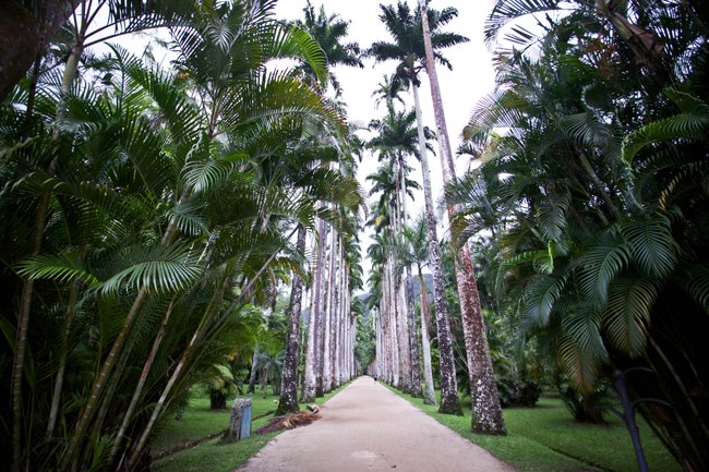 Jardim Botânico – Betty Autier – Le Blog de Betty