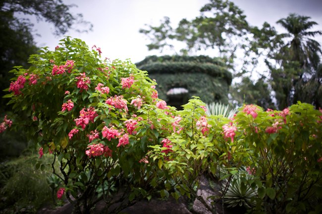 Jardim Botânico – Betty Autier – Le Blog de Betty