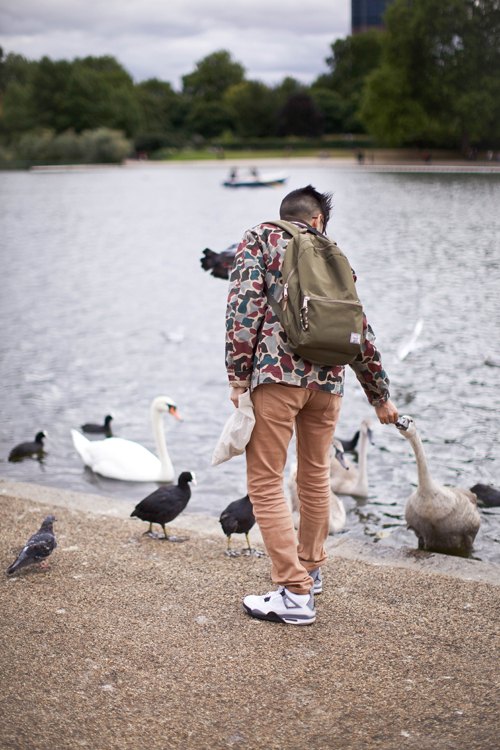 Londres cygnes oies hyde park – Le Blog de Betty