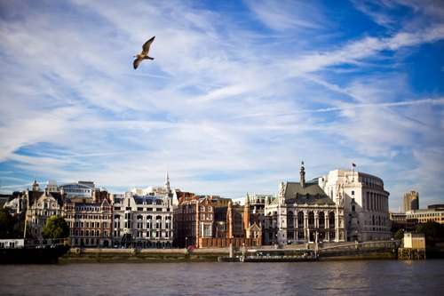 Londres tamise mouette – Le Blog de Betty