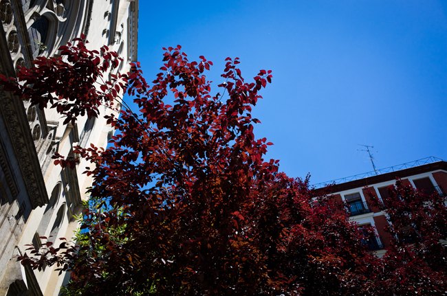 Madrid Day 2 – Betty Autier – Le Blog de Betty