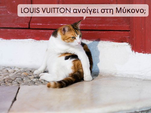 Mykonos chat louis vuitton – Le Blog de Betty