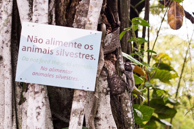 Panneau nao alimente animais – Le Blog de Betty