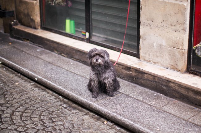 #paris #snow – Betty Autier – Le Blog de Betty