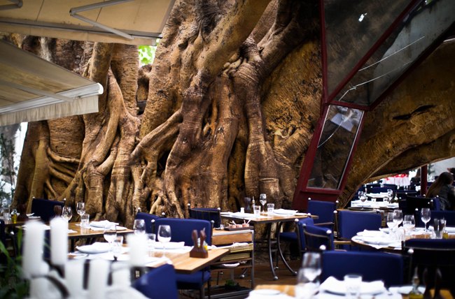 Sao paulo restaurant arbre – Le Blog de Betty