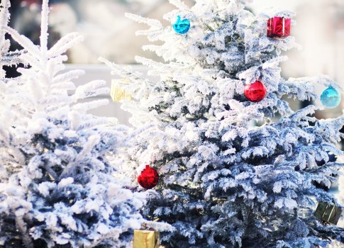 Sapin de noel givre – Le Blog de Betty