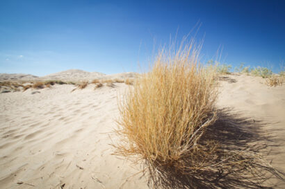 Mojave to LA – Betty Autier – Le Blog de Betty