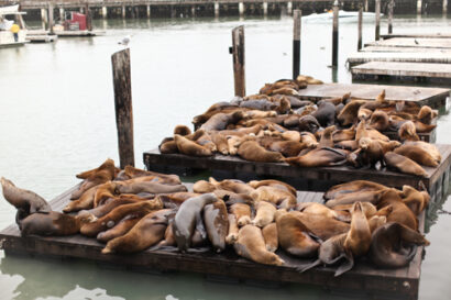 San Francisco Day 2 – Betty Autier – Le Blog de Betty