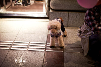 Bye Bye Tokyo – Betty Autier – Le Blog de Betty