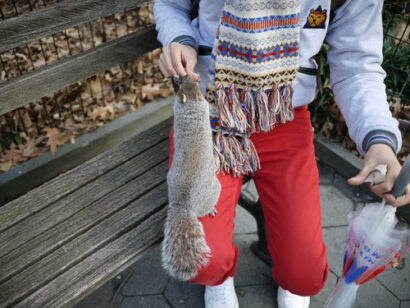 Pendleton x Squirrels – Betty Autier – Le Blog de Betty