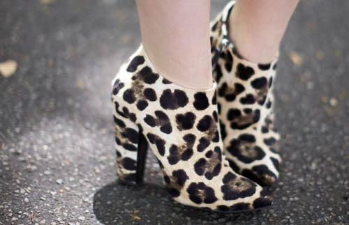 Giuseppe Zanotti