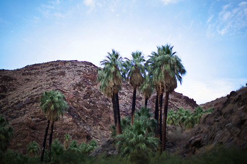 Indian Canyons