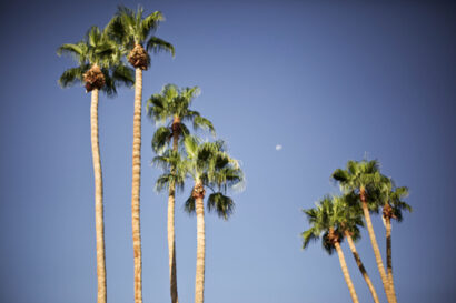 Palm Springs – Betty Autier – Le Blog de Betty
