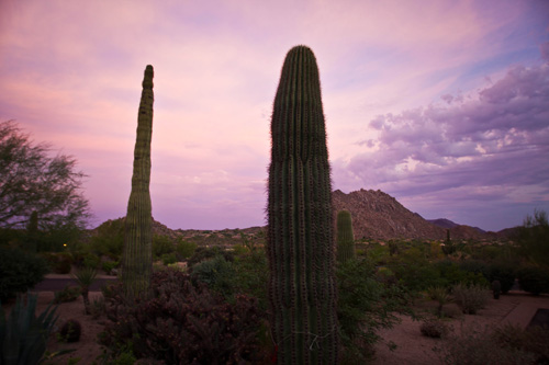 Scottsdale