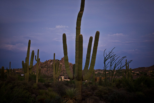 Scottsdale
