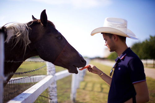 Dallas Ranch