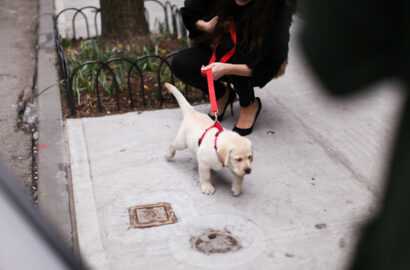 New York … – Betty Autier – Le Blog de Betty