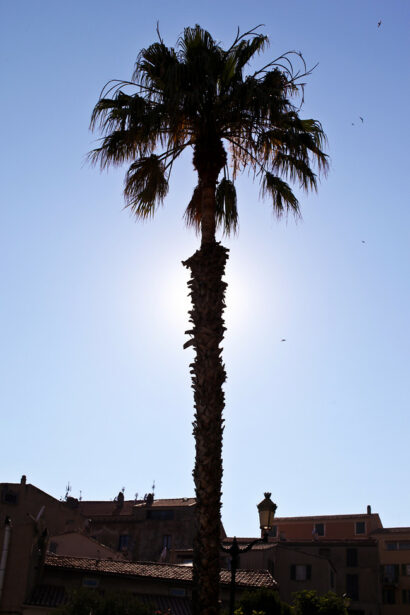 Calvi (on the) rocks – Betty Autier – Le Blog de Betty