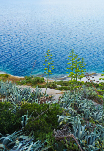 Calvi (on the) rocks – Betty Autier – Le Blog de Betty