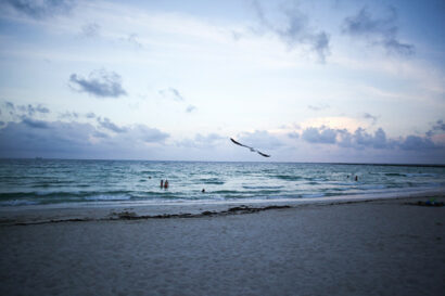 Bienvenido a Miami – Betty Autier – Le Blog de Betty