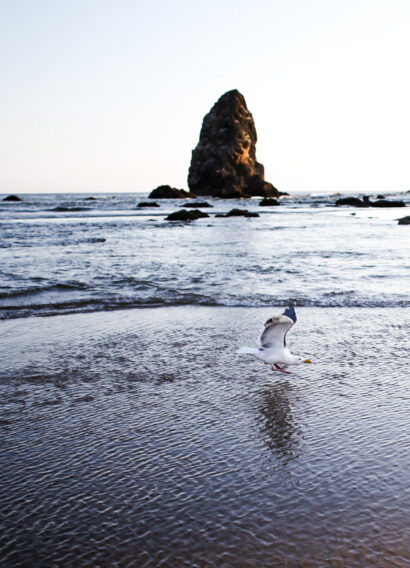 Cannon beach – Betty Autier – Le Blog de Betty