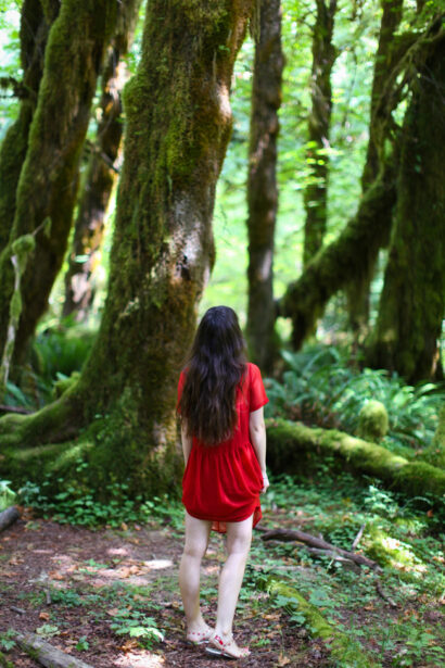 Hoh Rainforest – Betty Autier – Le Blog de Betty