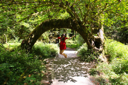 Hoh Rainforest – Betty Autier – Le Blog de Betty