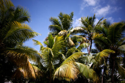 Key West moments – Betty Autier – Le Blog de Betty
