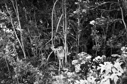 Key West moments – Betty Autier – Le Blog de Betty