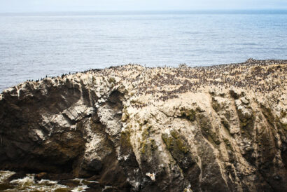 Newport – Oregon – Betty Autier – Le Blog de Betty