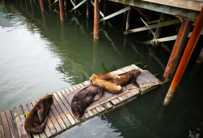 Newport – Oregon – Betty Autier – Le Blog de Betty
