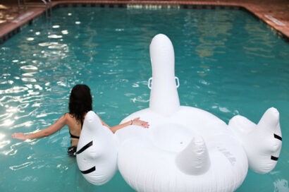 Swan lake – Betty Autier – Le Blog de Betty