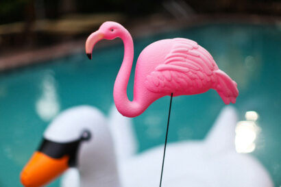 Swan lake – Betty Autier – Le Blog de Betty