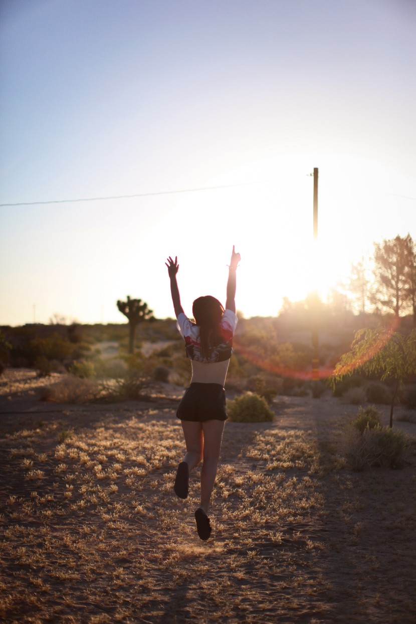 Joshua tree national park 2