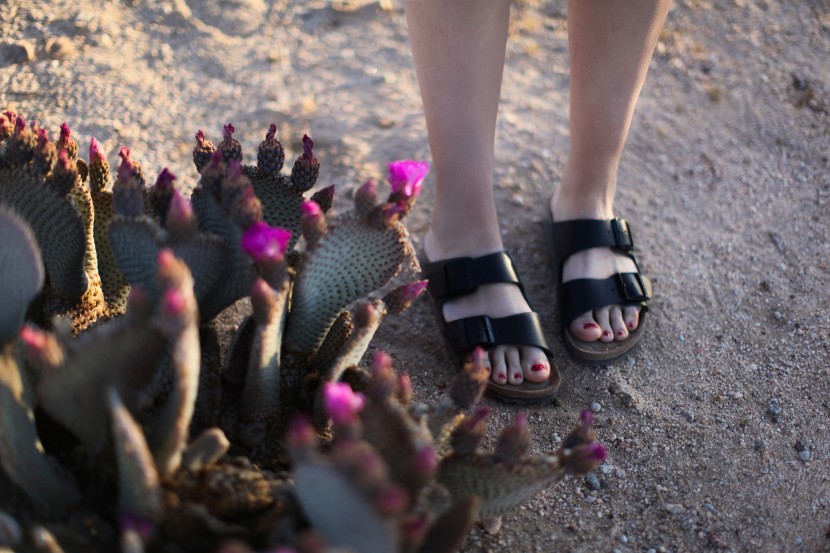 Joshua tree national park 4