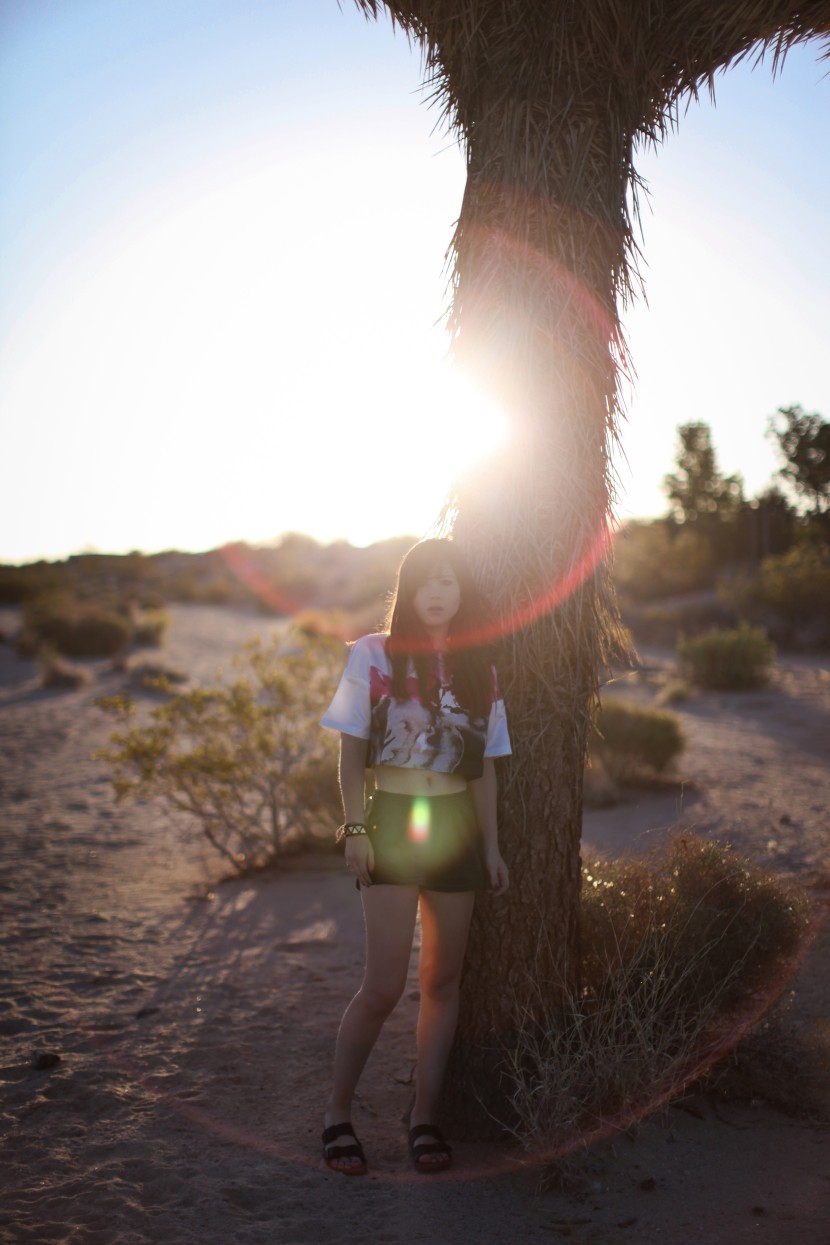 Joshua tree national park 5