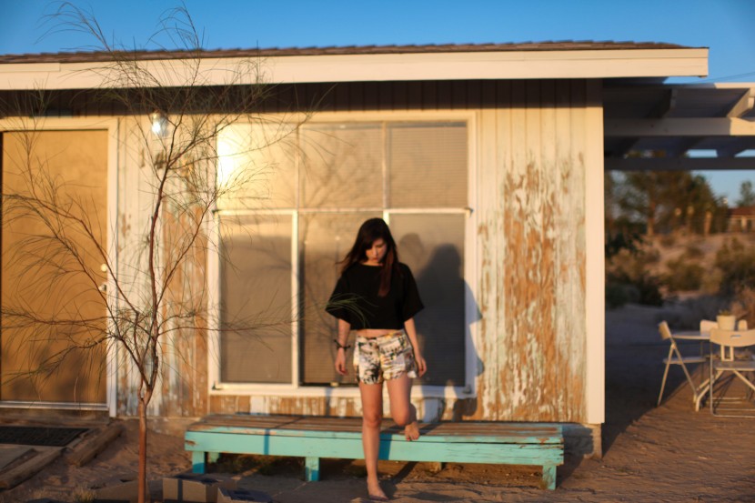 joshua tree 2