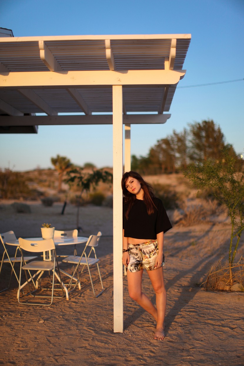 joshua tree 6