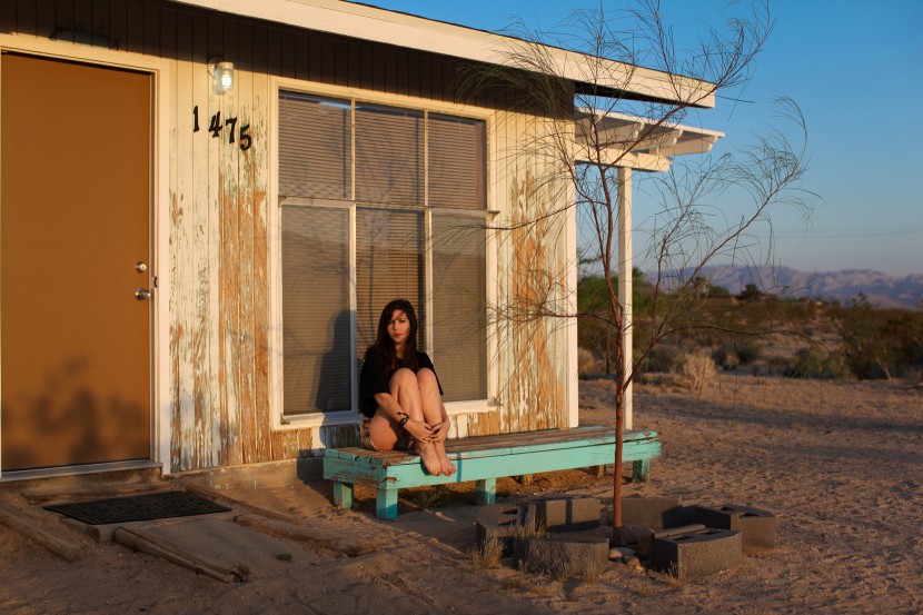 joshua tree