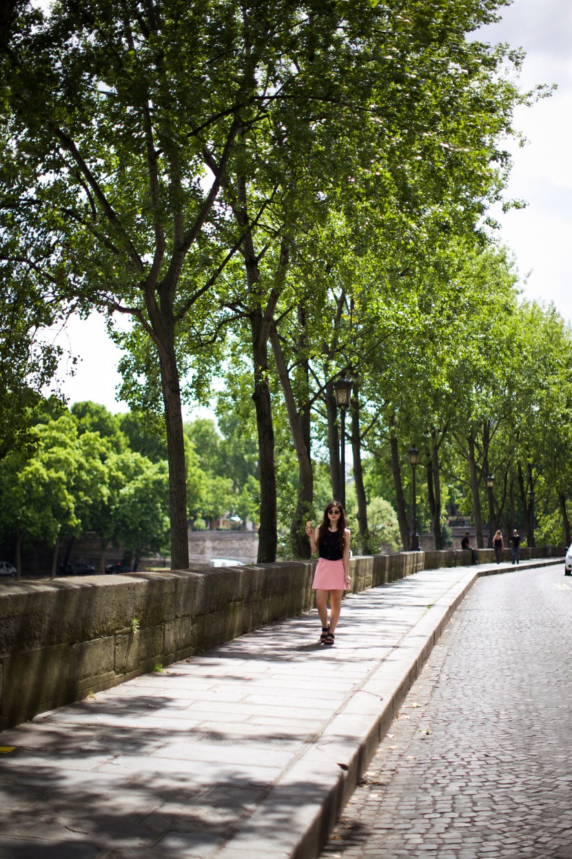 paris ile saint louis