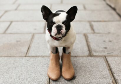 Comptoir des cotonniers – Betty Autier – Le Blog de Betty